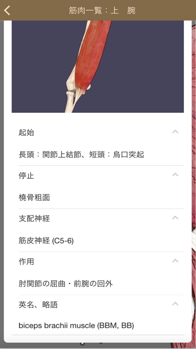 肉学(上肢) screenshot1