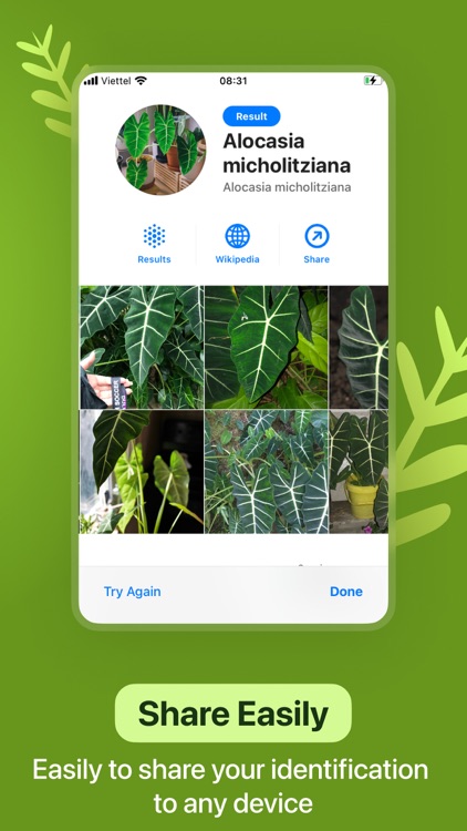 Leaf Identification screenshot-5