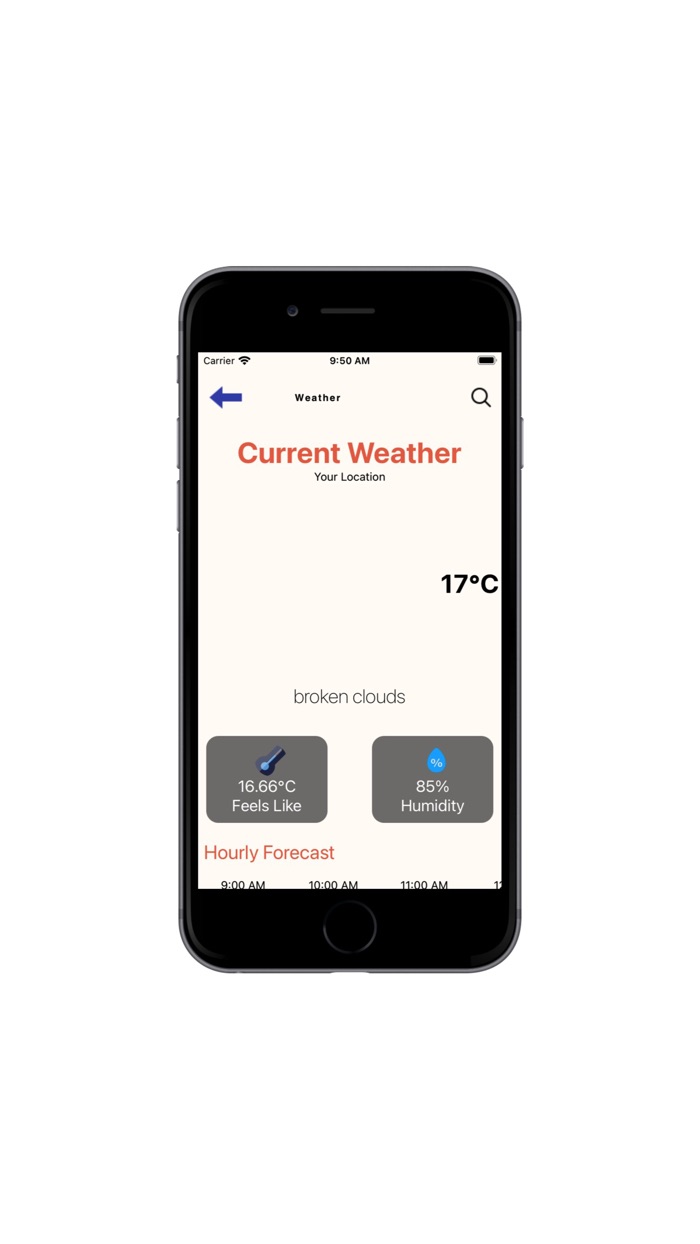 AK Limo Services LLC