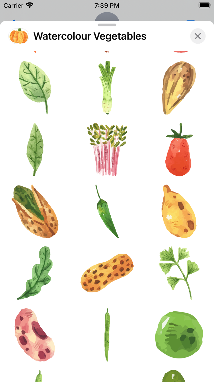 Watercolour Vegetables