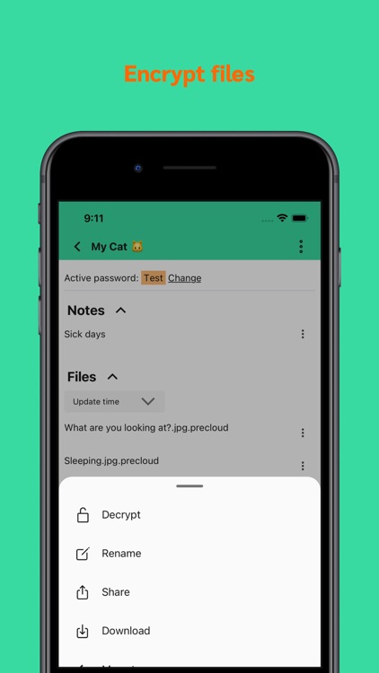 PreCloud: Encrypt file & note