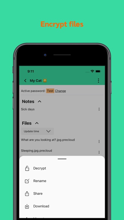 PreCloud: Encrypt file & note