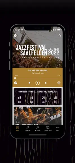 Game screenshot Jazzfestival Saalfelden apk