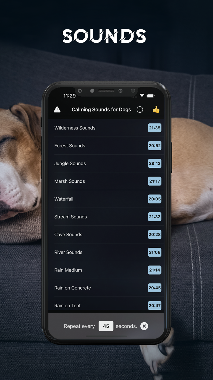 Calming Sound for Dogs