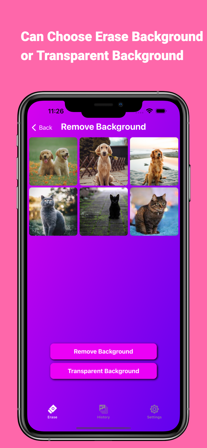 Background Transparent