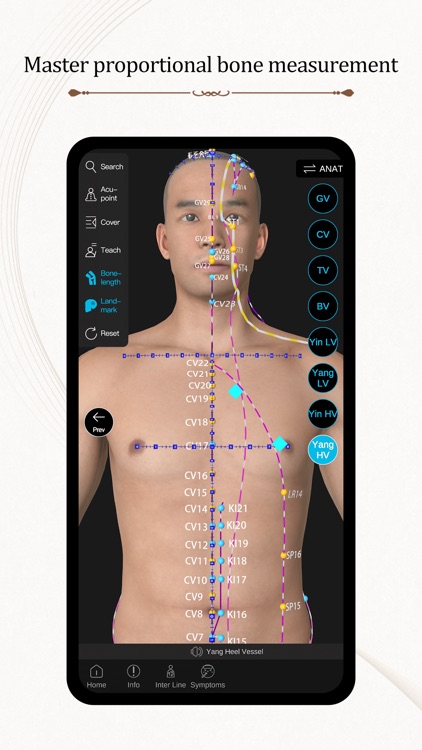 Acupuncture Master screenshot-5