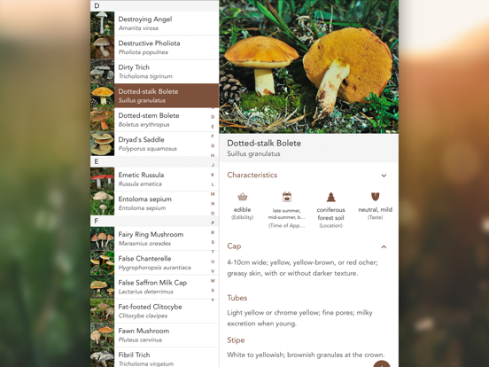 Champignons PRO Champignons PRO