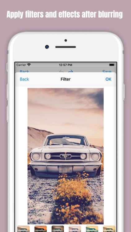 Blur Photo Effect Editor