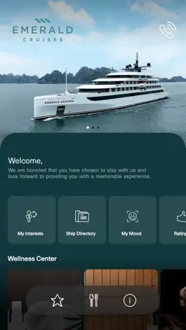 Game screenshot Emerald Cruises mod apk