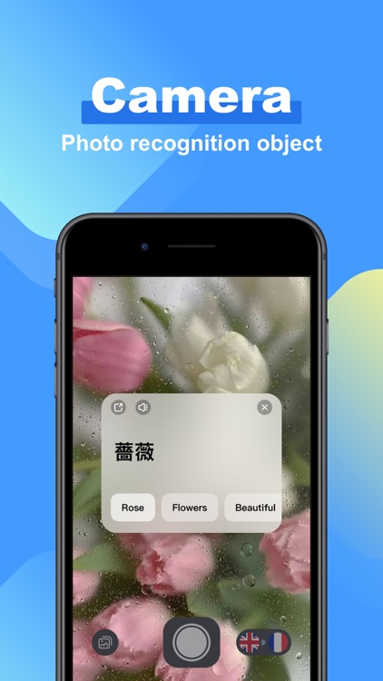 Translate Master: Scan & Voice screenshot-7