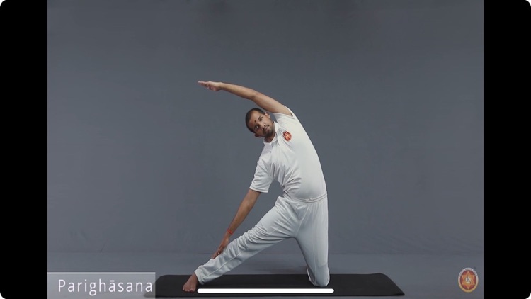 Datta Kriya Yoga screenshot-6