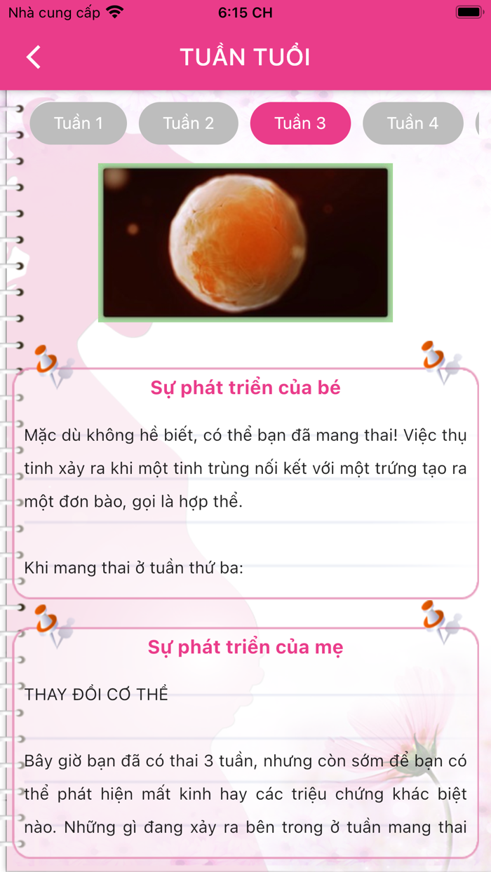 Mẹ Bầu 4.0