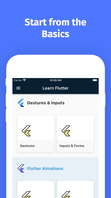 Learn Flutter Development PRO screenshot-3