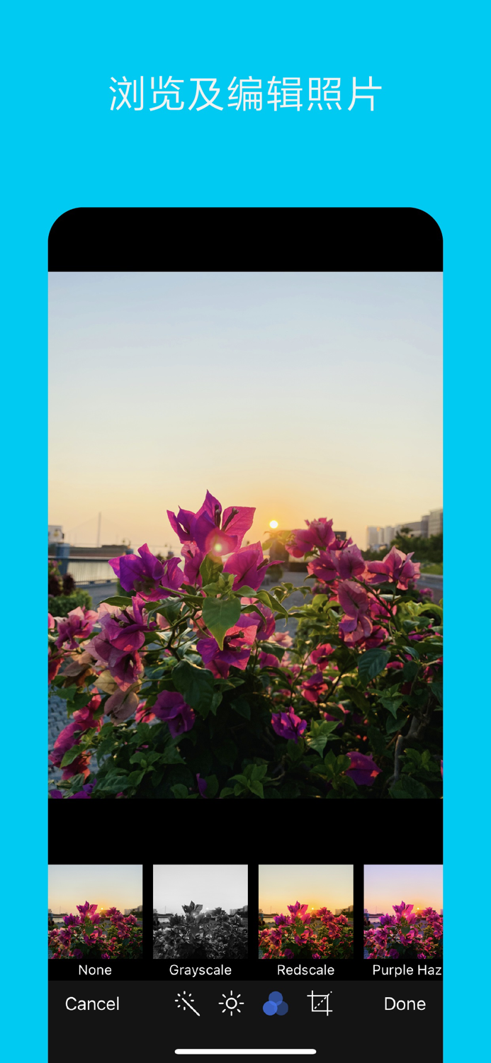 猫头鹰文件 - 文件管理器