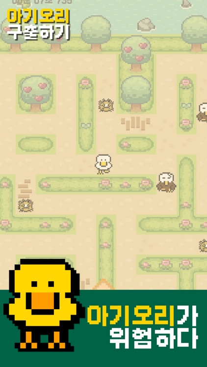 아기오리 구출하기(Duck Rescue)