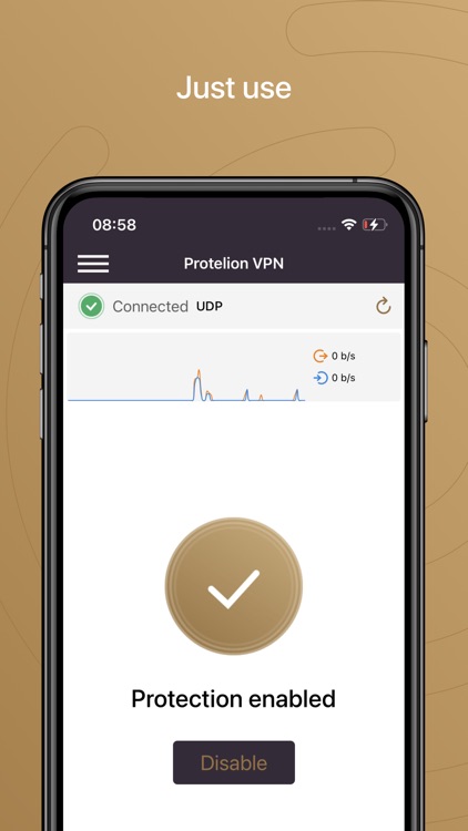 Protelion VPN