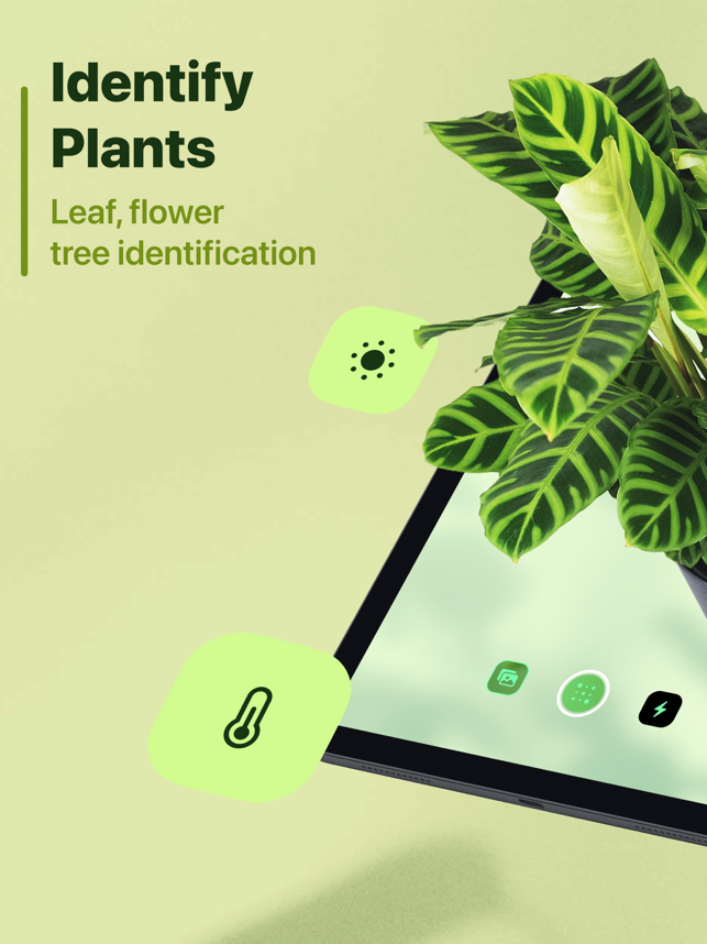 Captura de pantalla de identificación de hojas