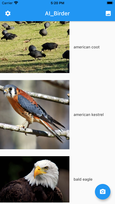 AI Birding