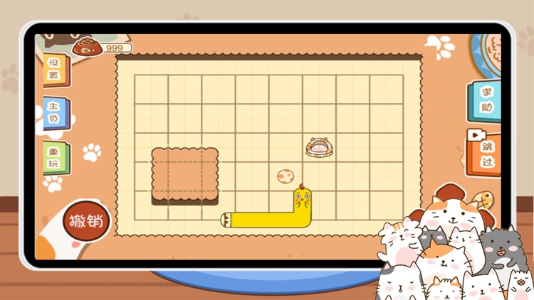 cute kitty daily solving!