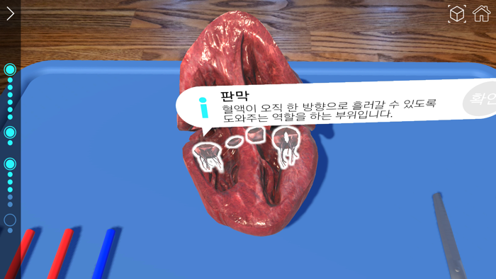 AR 해부실험실