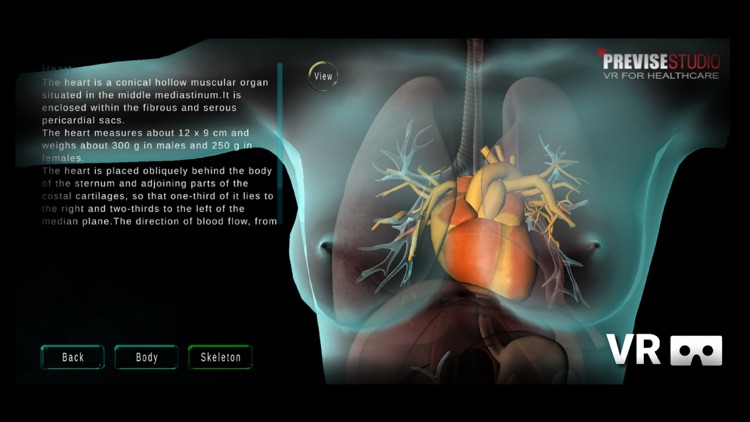 VR Human Anatomy Kids screenshot-6