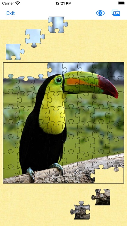 Jigsaw puzzles - Jigsaw