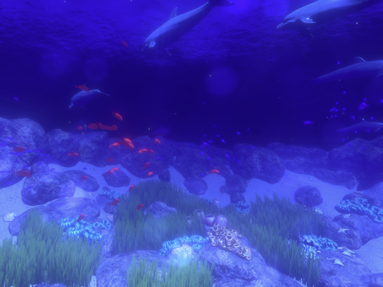 Coral Reef HD screenshot 4