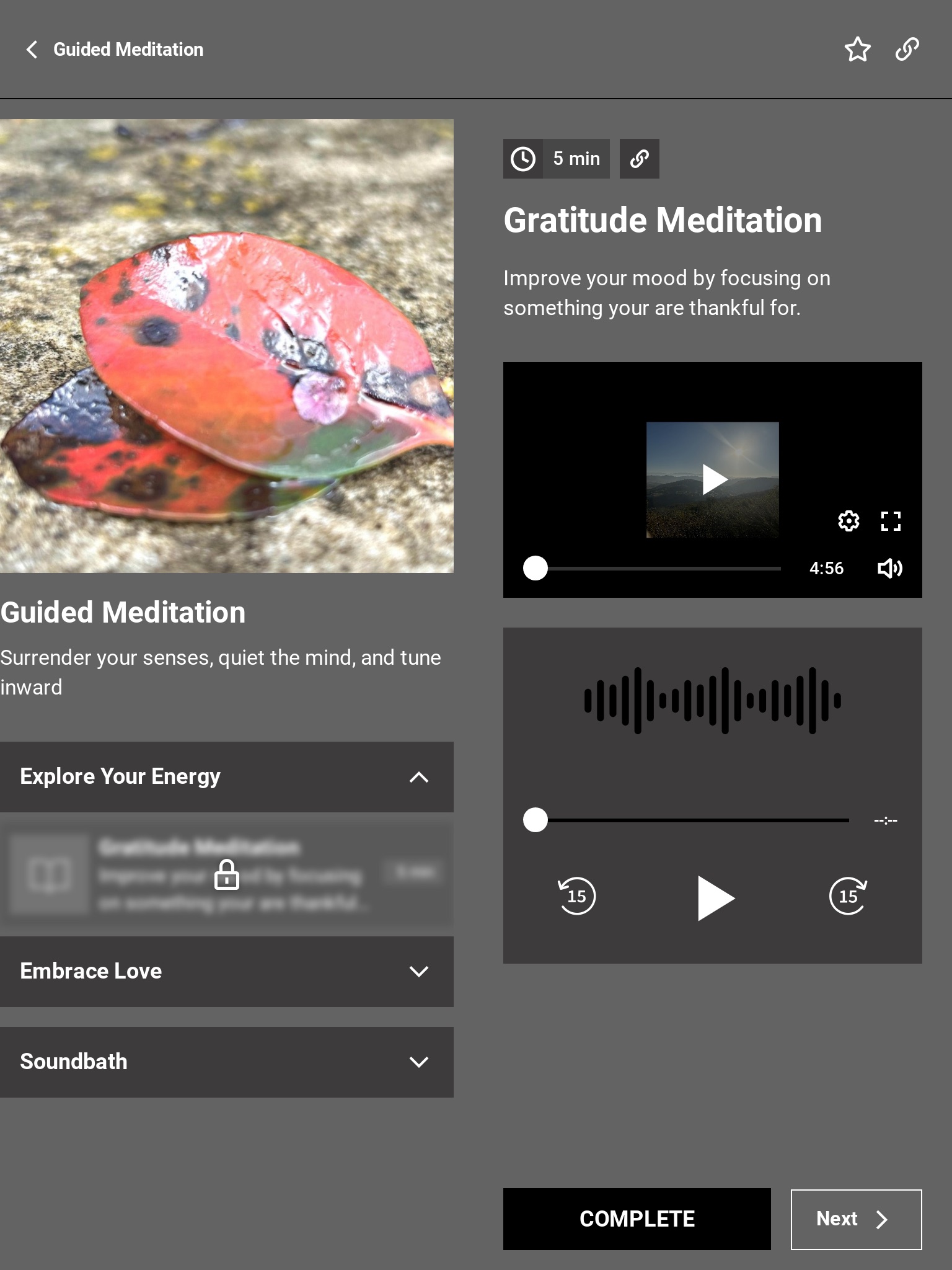 BMINDful screenshot 3