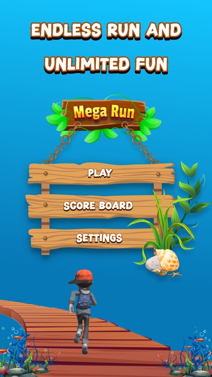 Mega Run - Endless Surfer