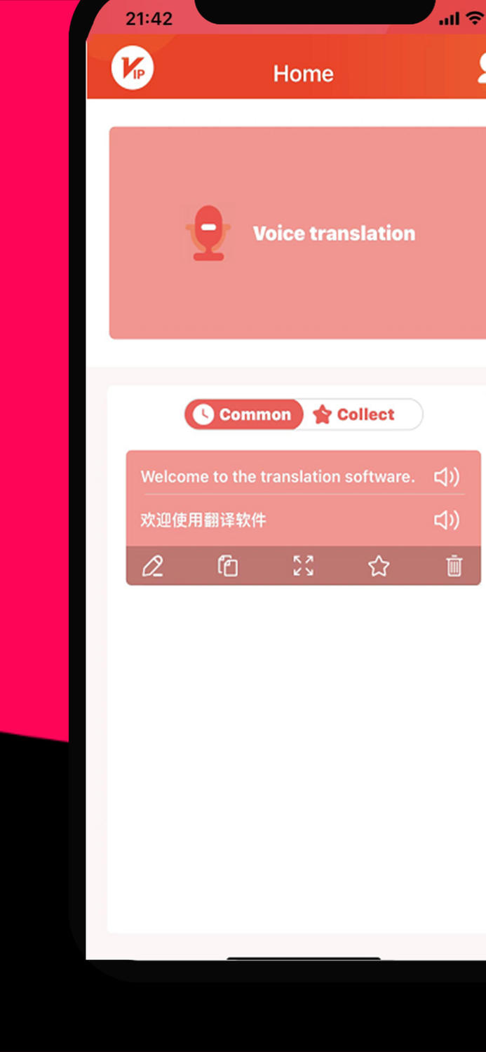 Translator Voice Translation