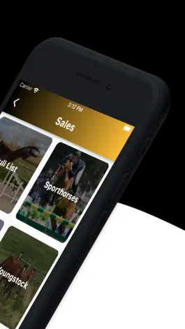 Game screenshot Bosanko Sports Horses apk