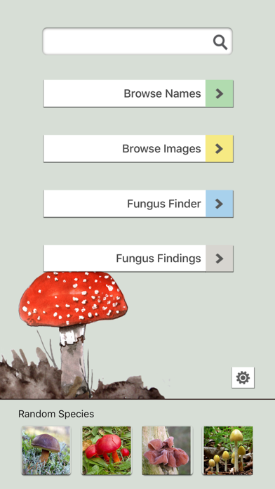 Mushrooms & other Fungi UK Screenshot