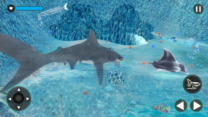 Hungry Shark Attack Simulator