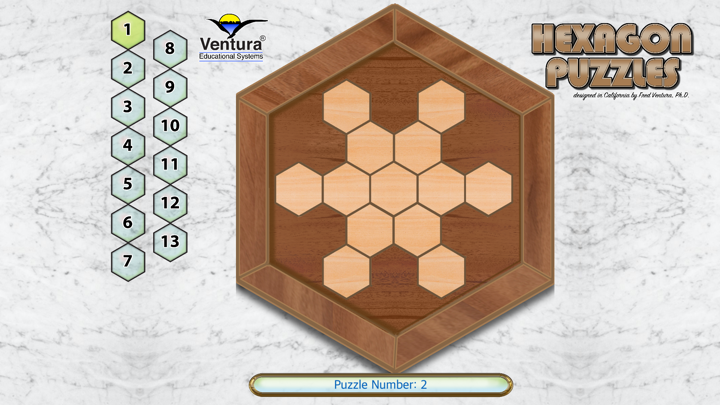 Hexagon Puzzles