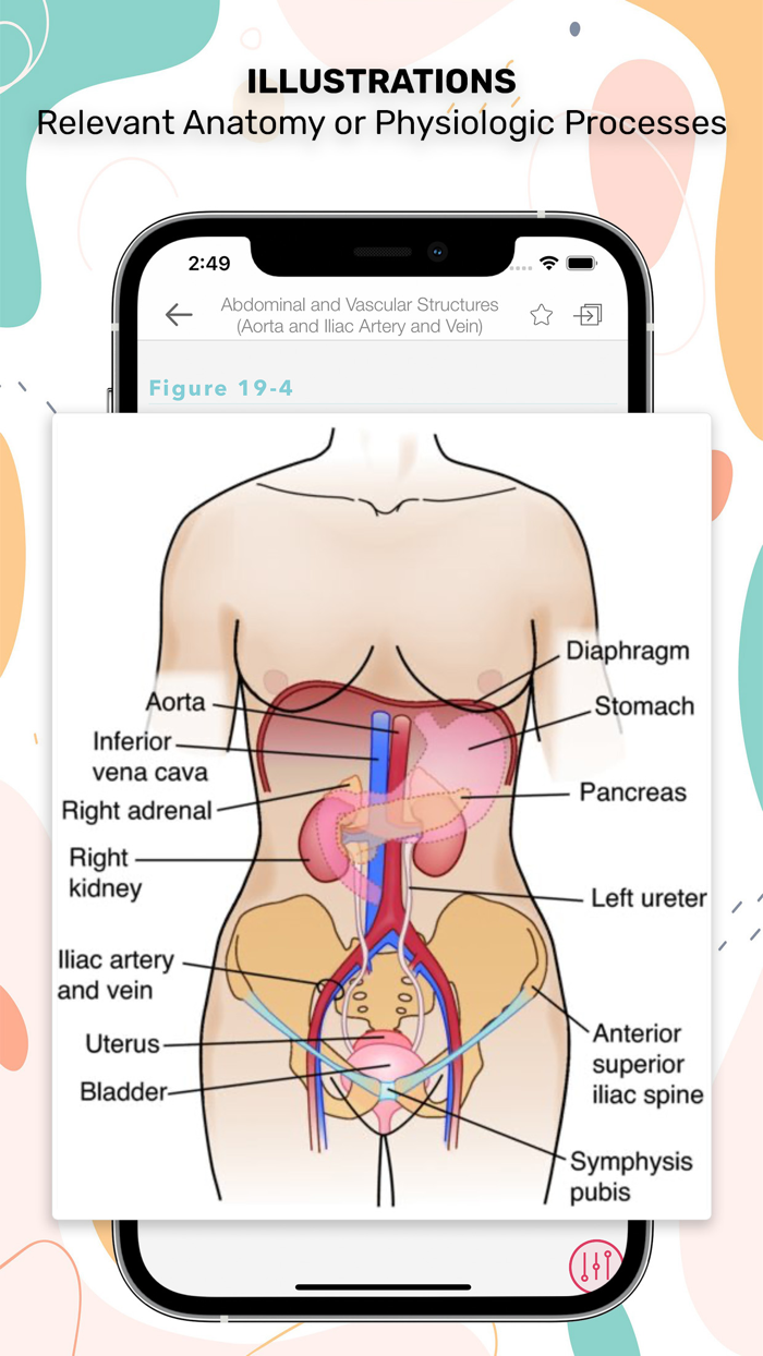 Nurses HBK Health Assessment