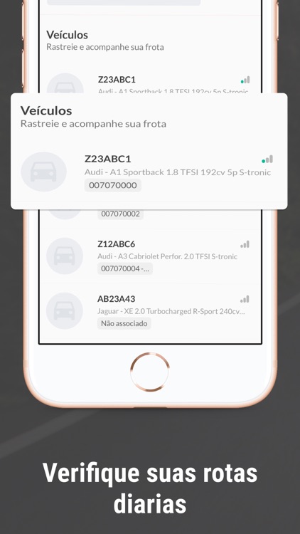 AutoLocaliza 24HRS screenshot-3