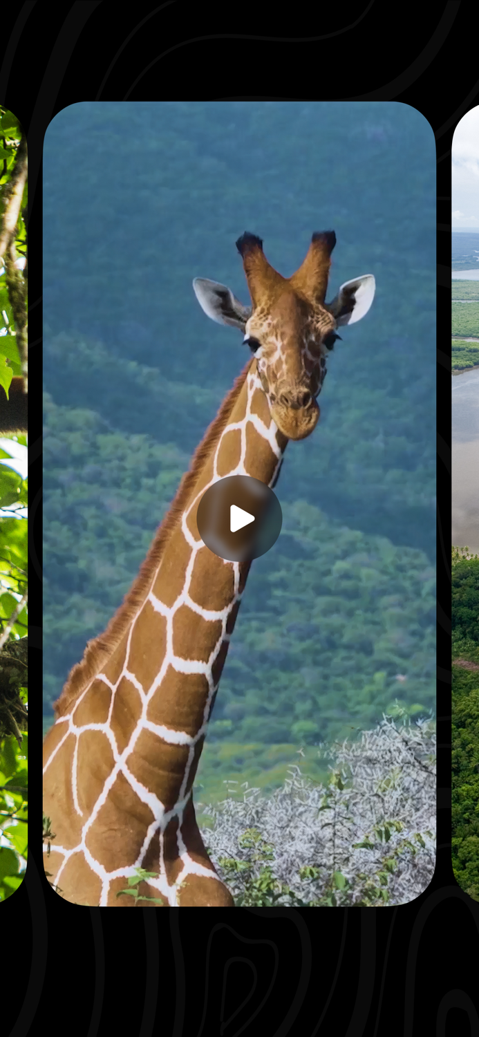 MyWorld Reward your actions