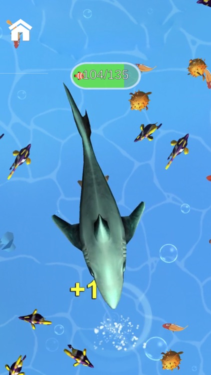 Shark Frenzy 3D