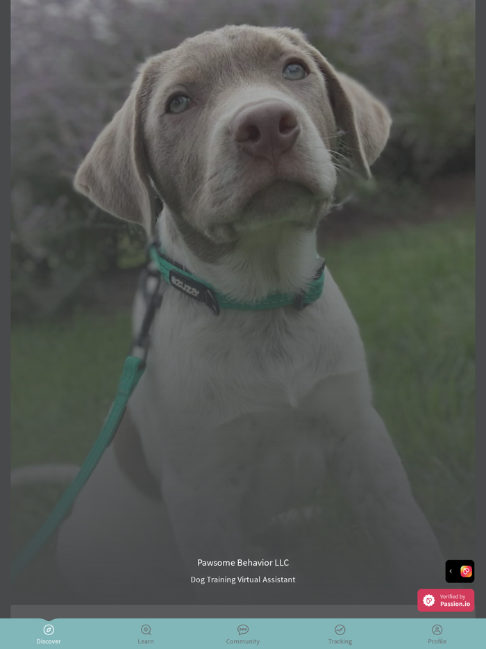 Pawsome Behavior Dog Training