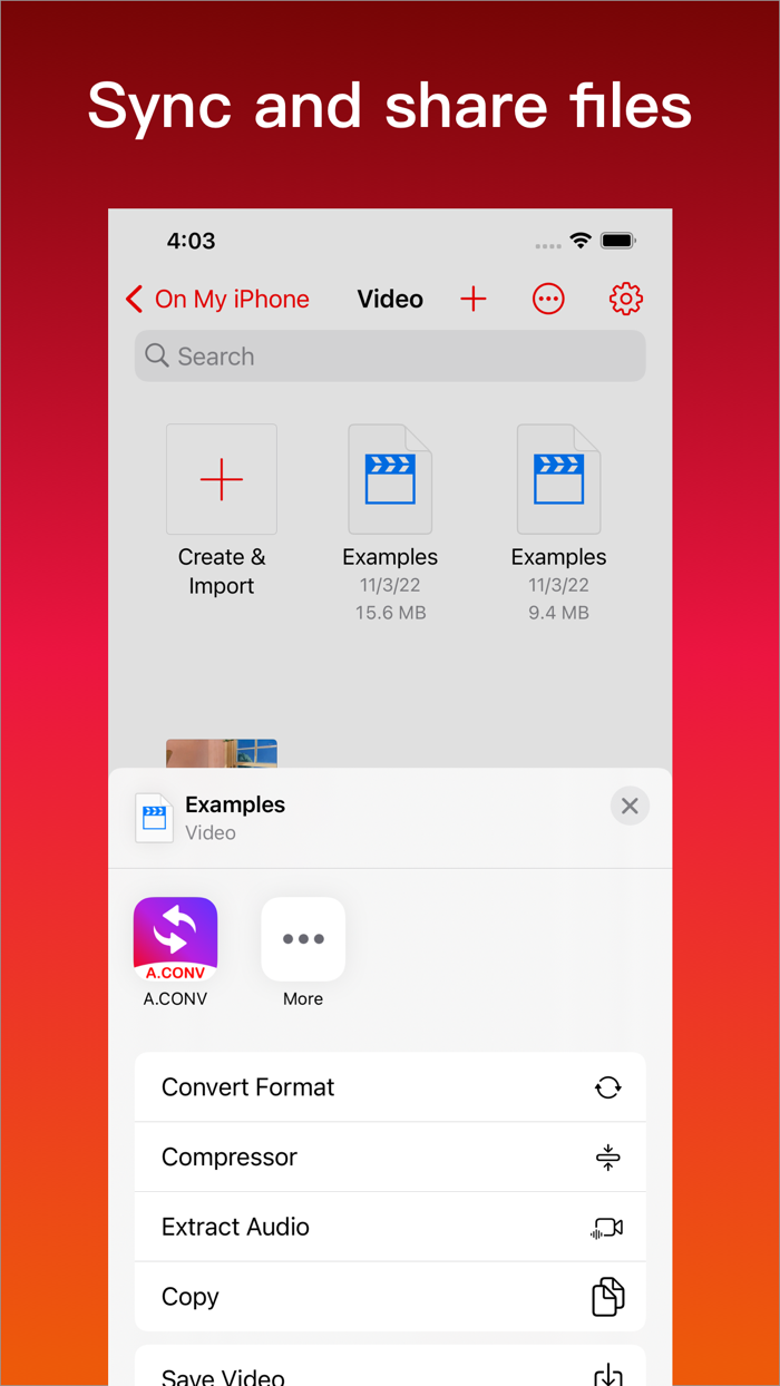 A.CONV File Format Conversion