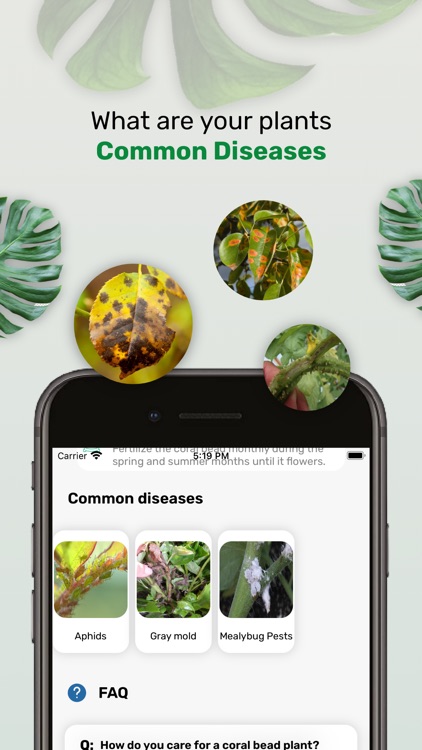 Plant Identifier & Care Tips screenshot-7