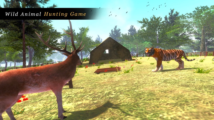 Animal simulator hunting games screenshot-3