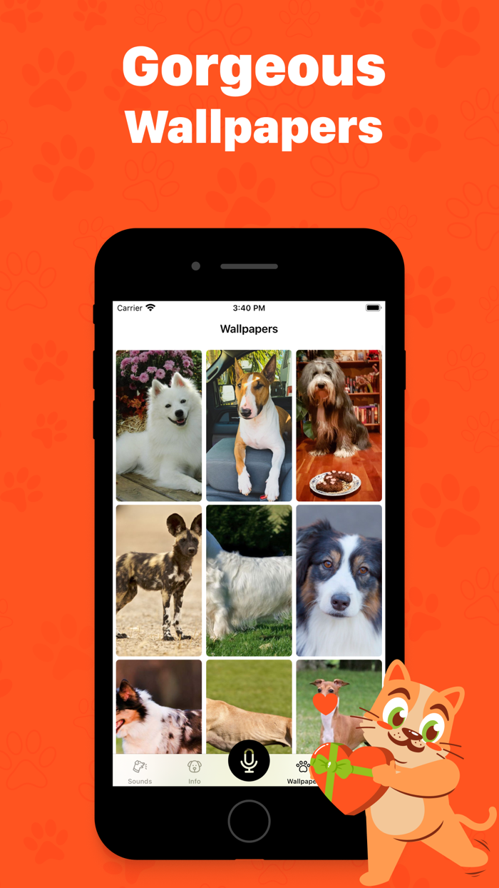 Human to cat translator app