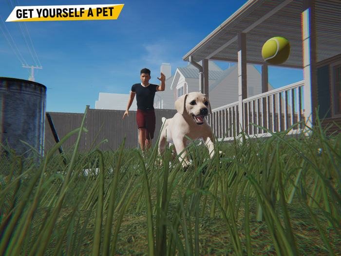 Pets Simulator
