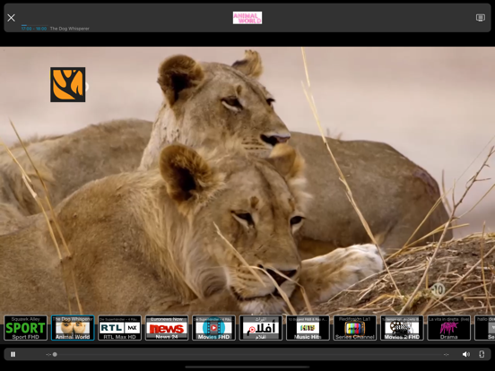 IPTV Streamer Max screenshot 2
