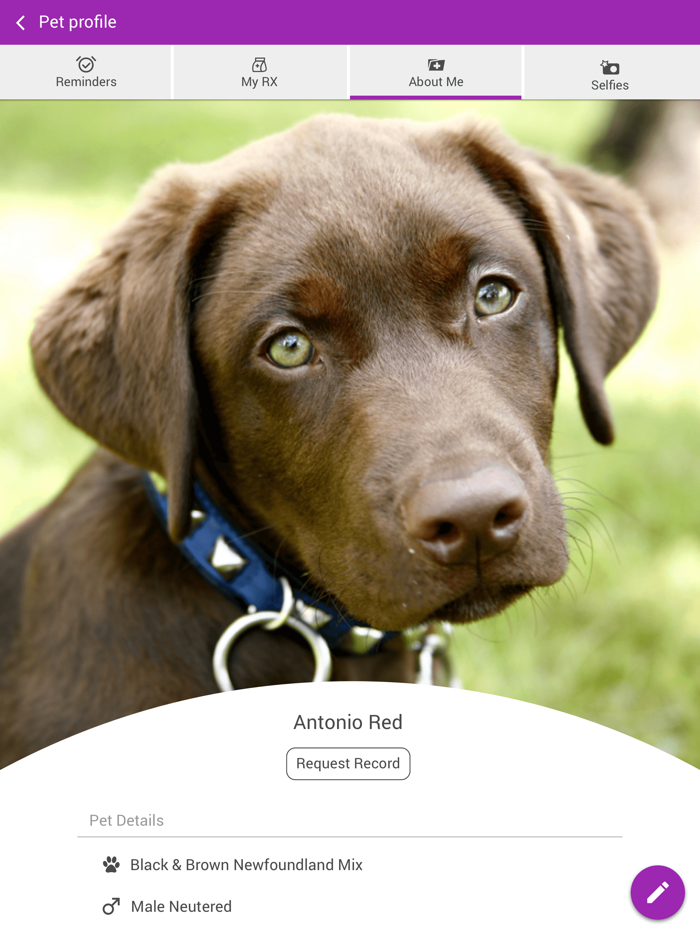 Village Vet Clinic OH