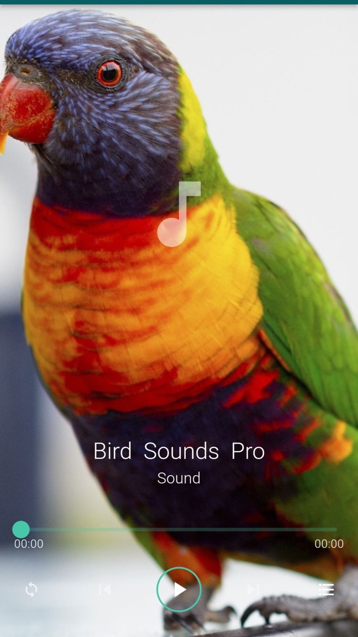 Bird Sounds Pro Plus