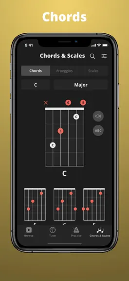 Game screenshot GuitarApp - Tuner & Metronome apk