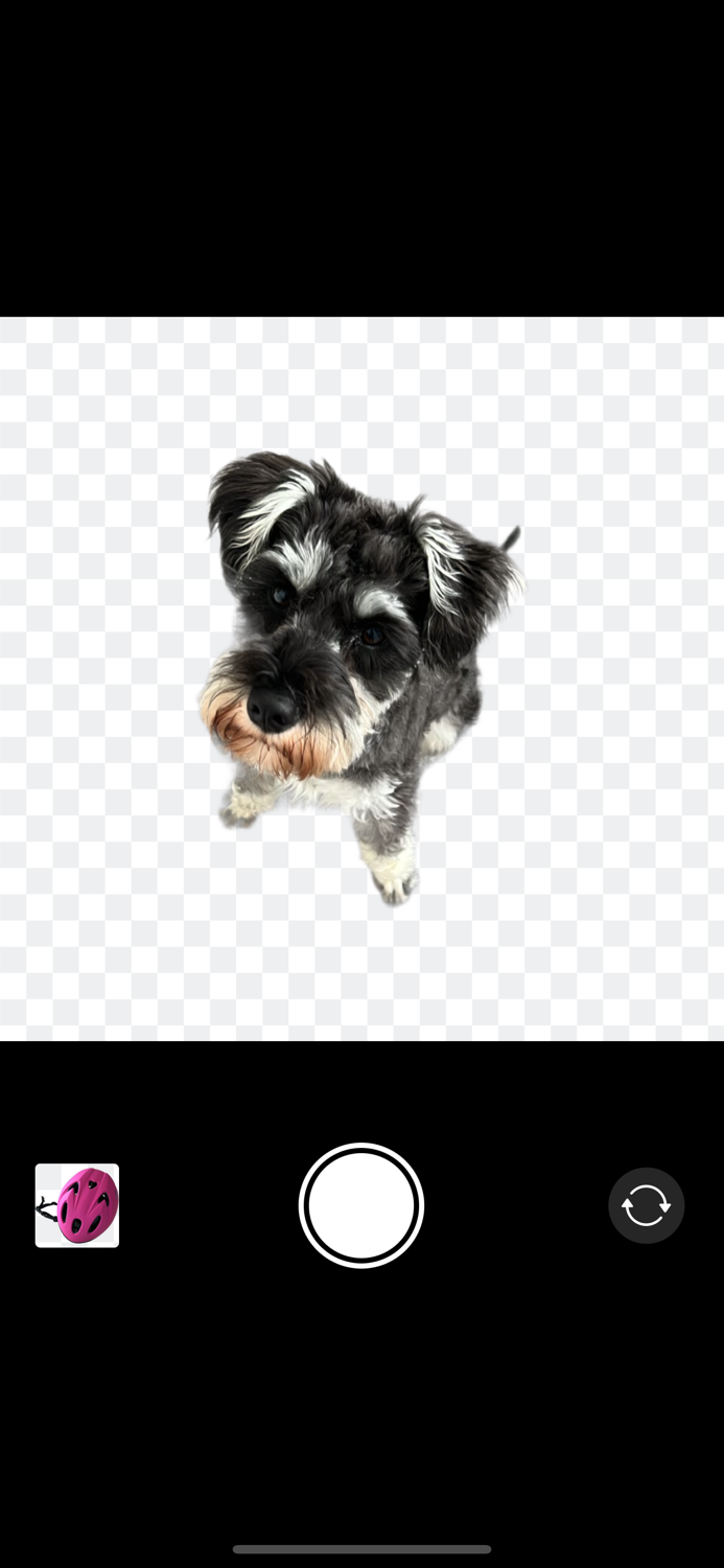 Background Removal Camera