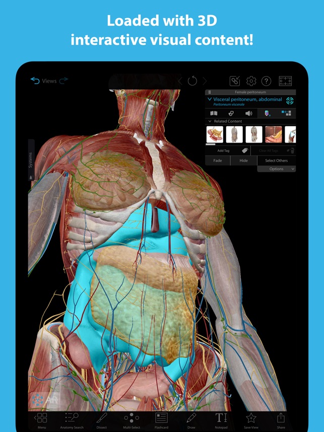 Human Anatomy Atlas 2023 On The App Store